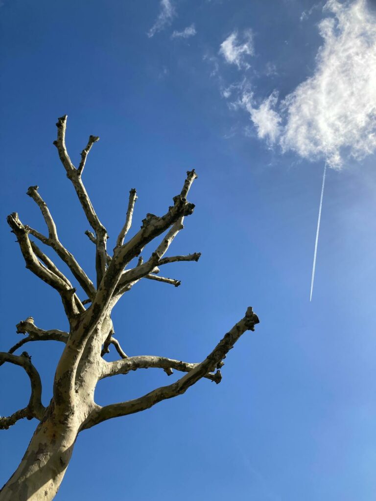 Zomerhitte